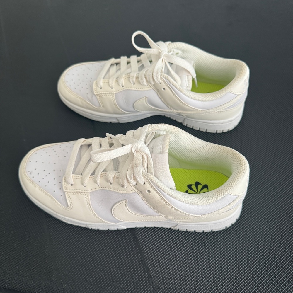 Nike Dunk Low Next Nature Women’s Shoes